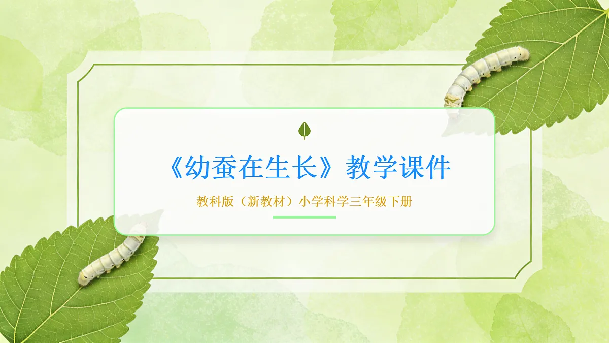 18056916第1页
