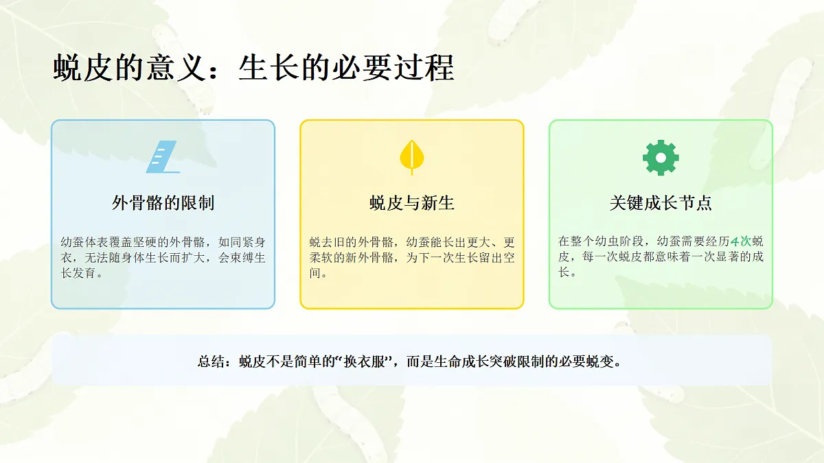 18056916第8页