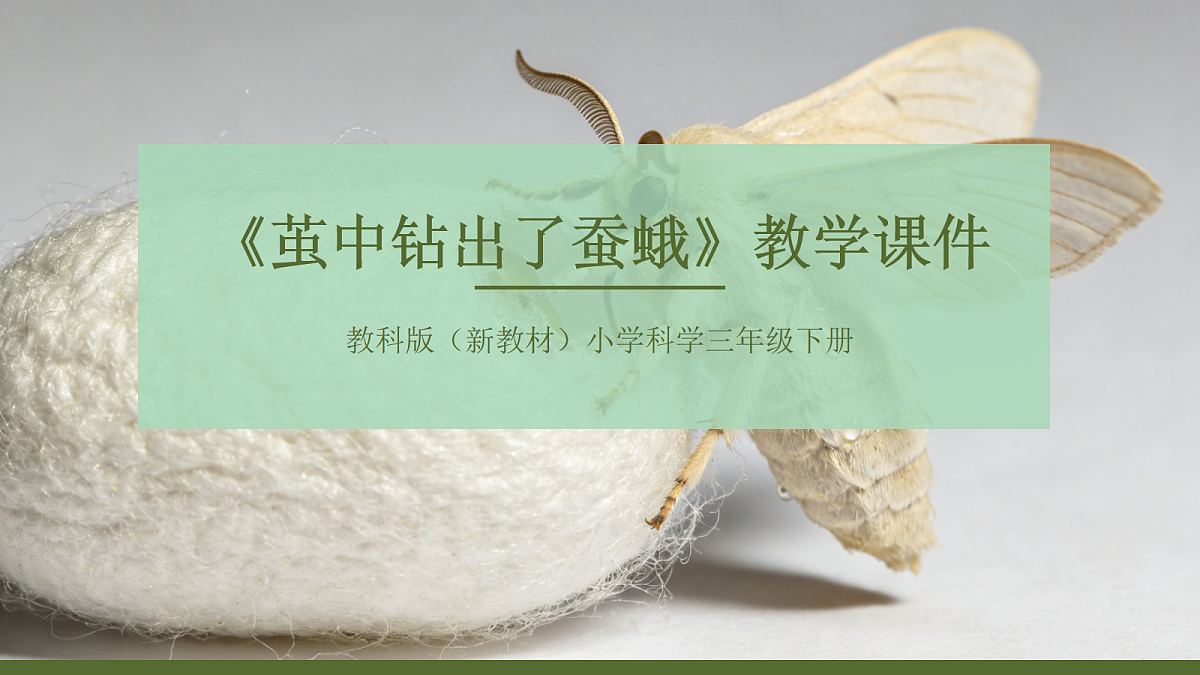 18056918第1页