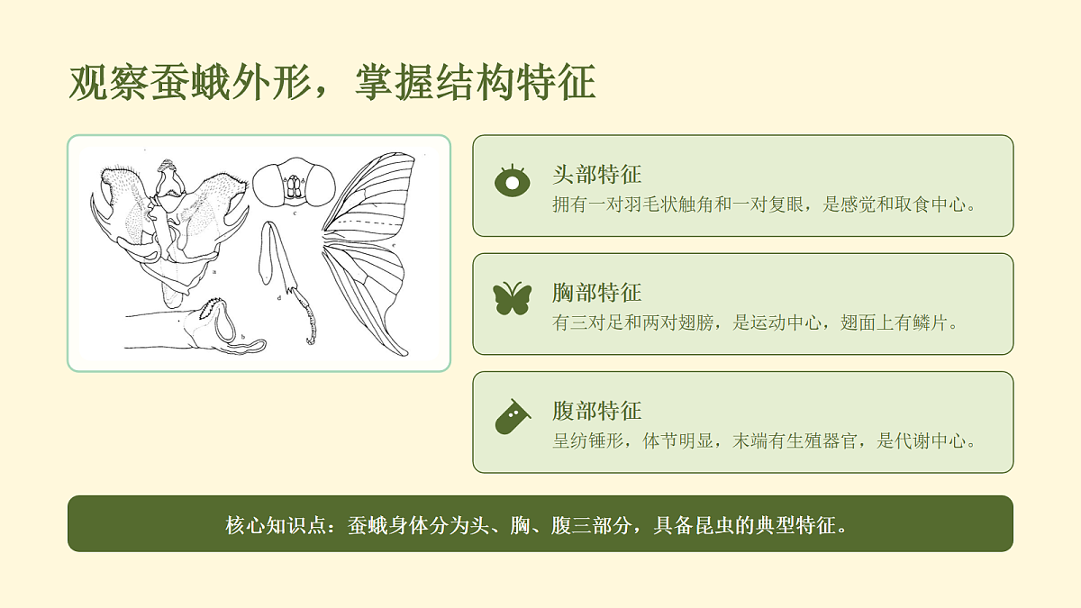 18056918第3页