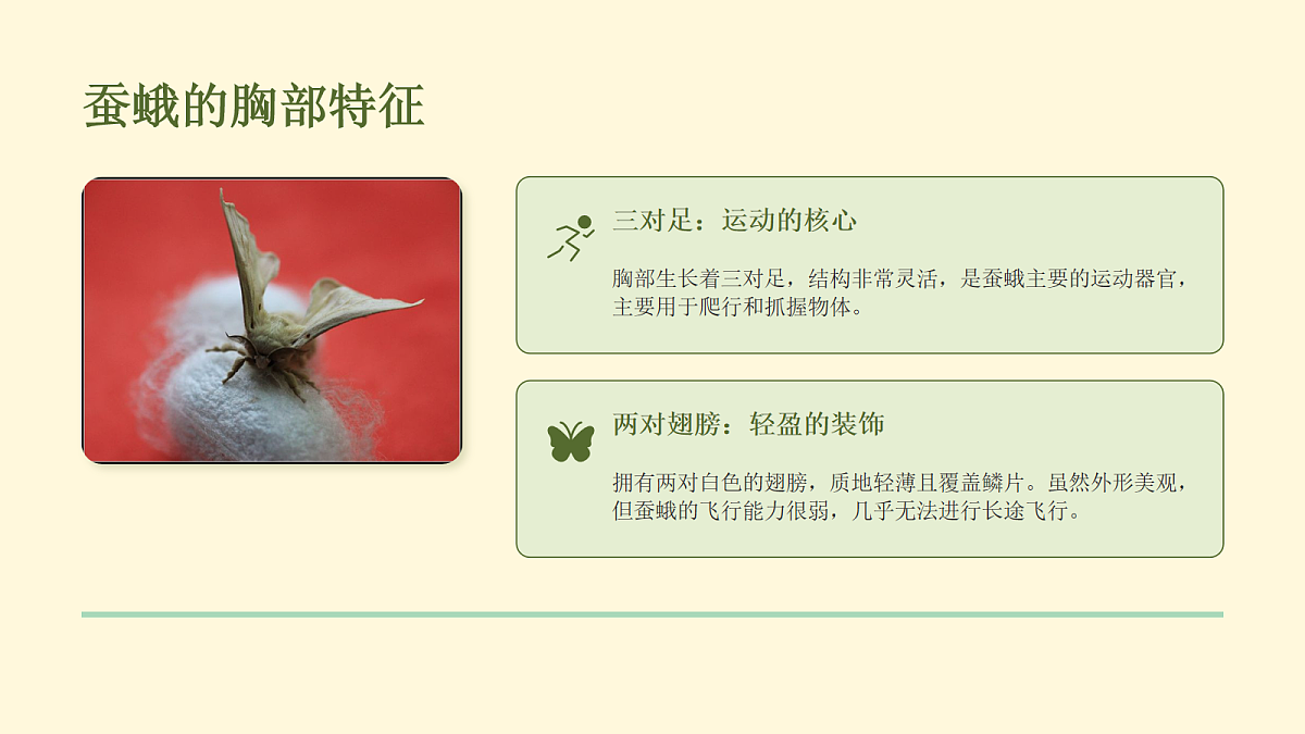 18056918第5页
