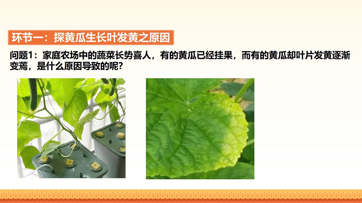 18056935第2页