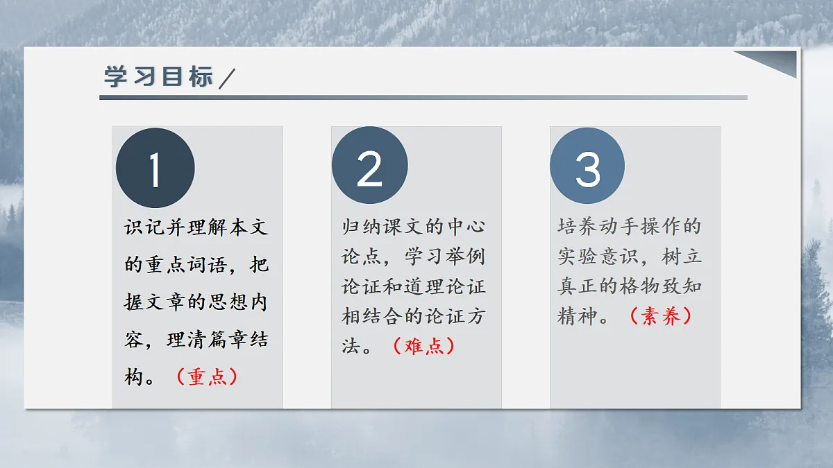 18058683第3页