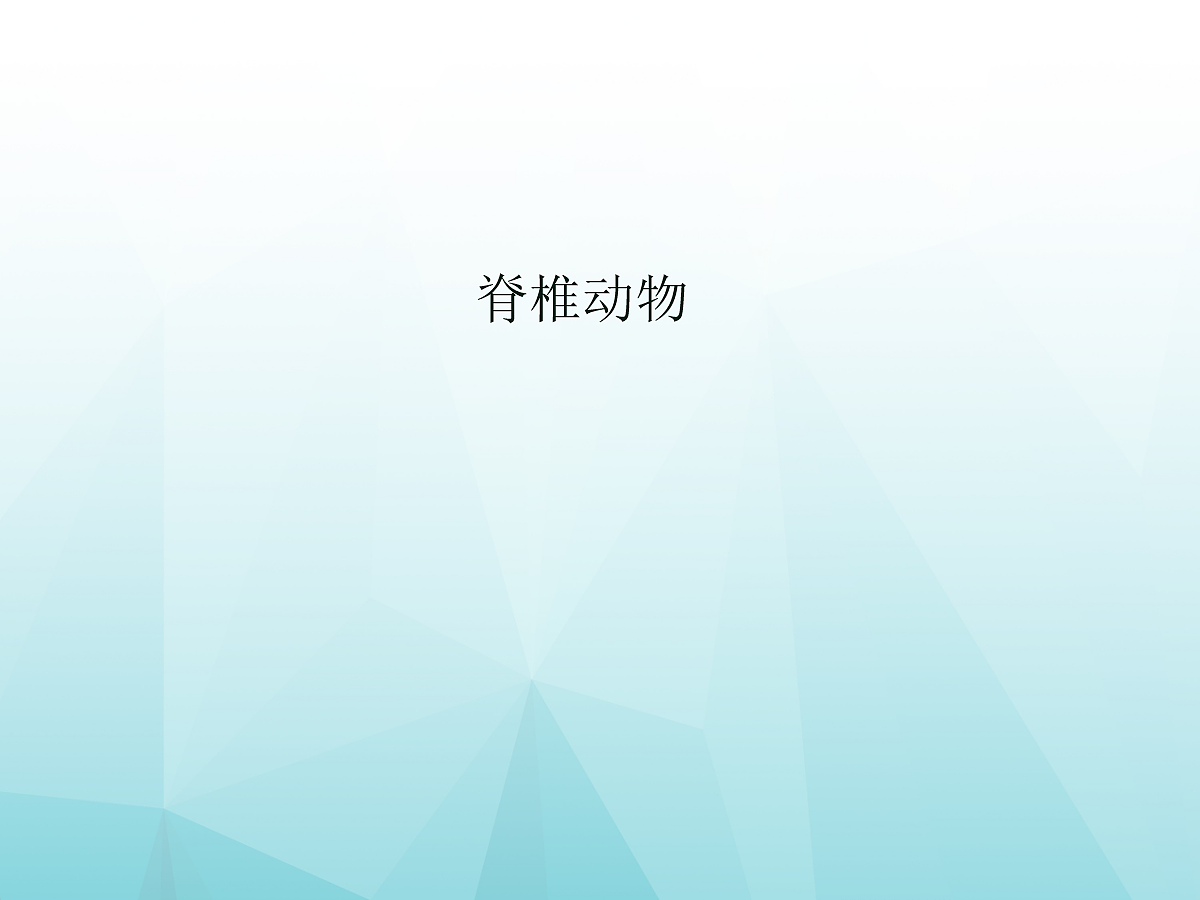 18058914第1页