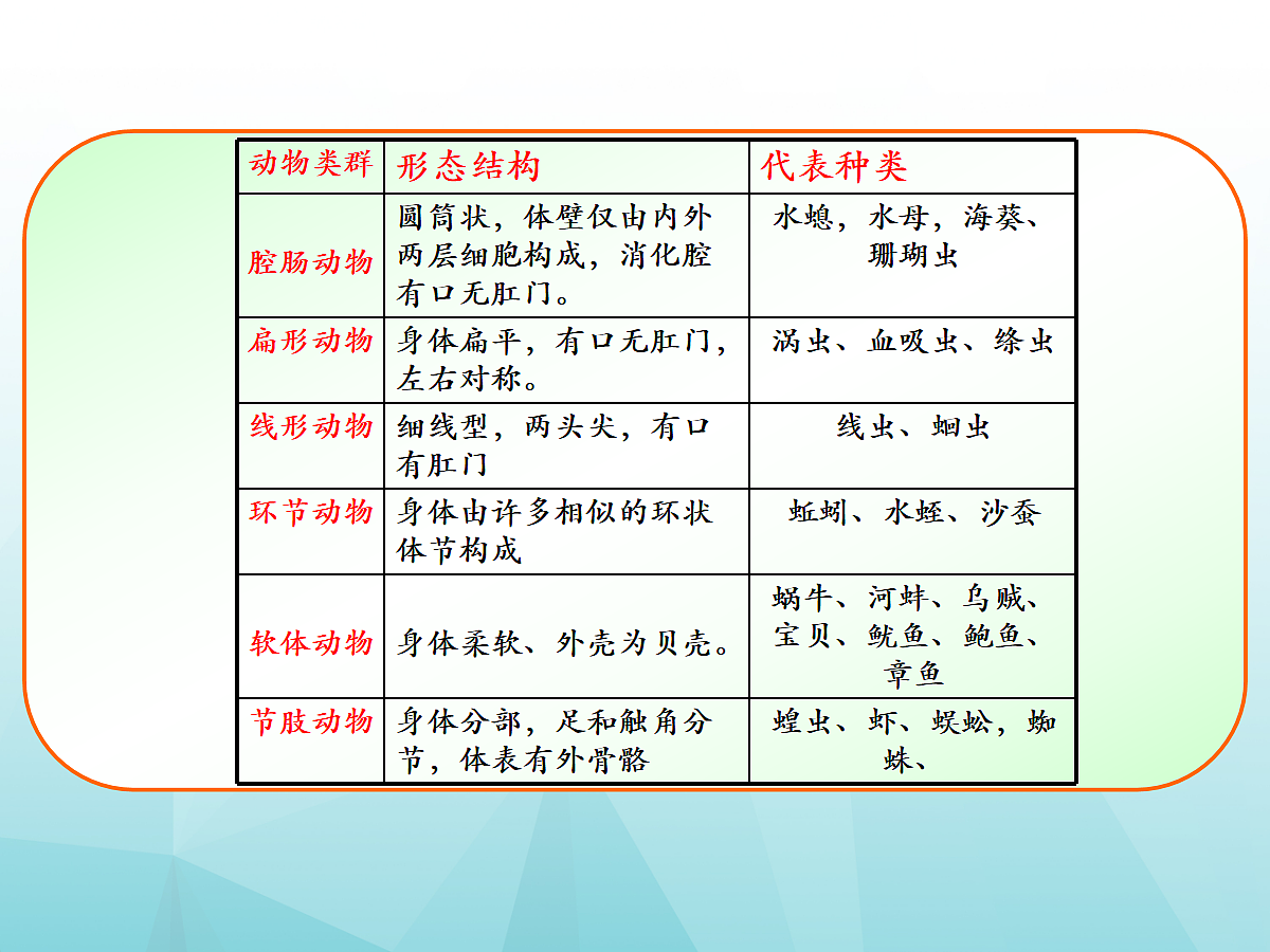 18058914第5页