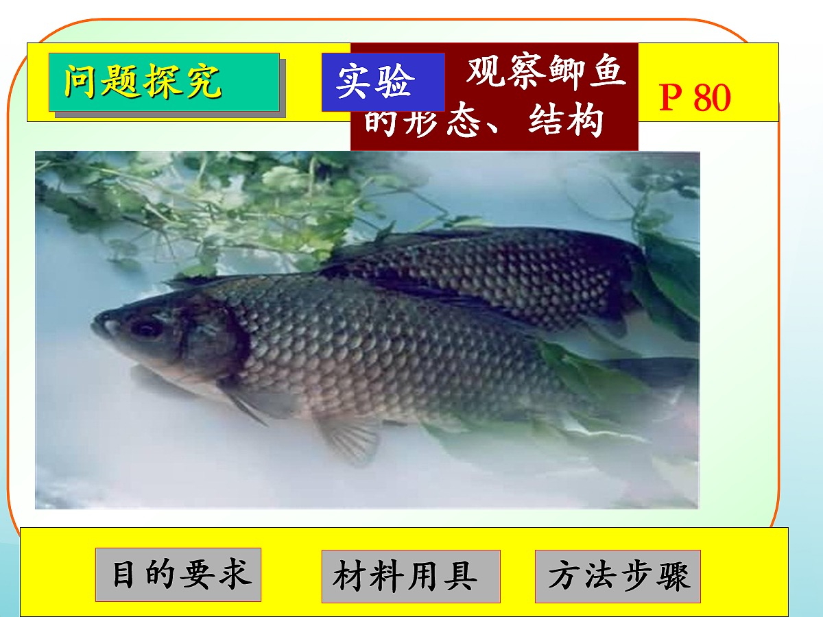 18058914第6页