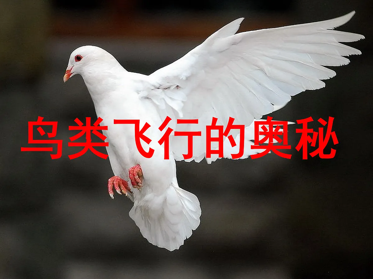 18058917第5页