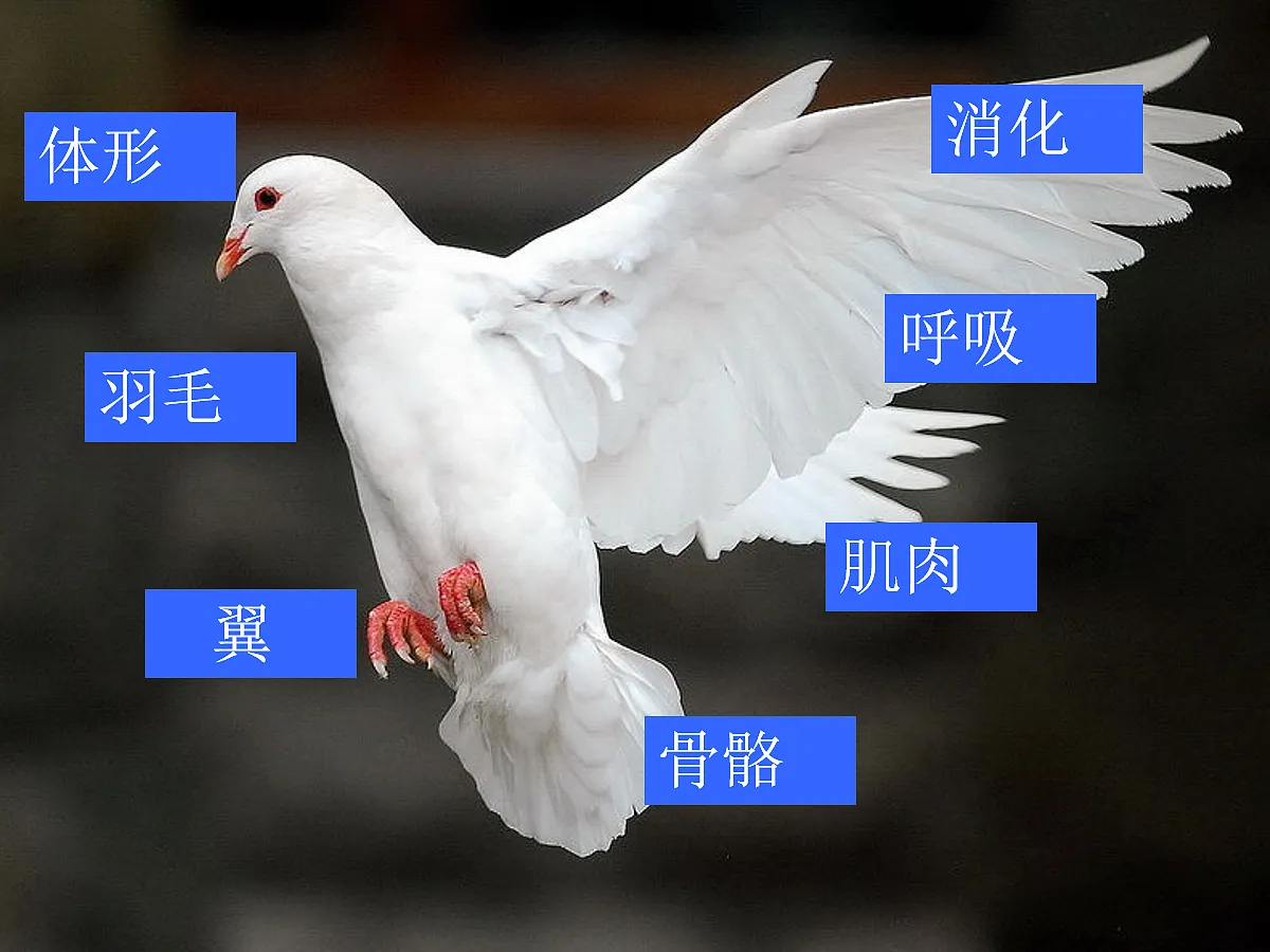 18058917第6页