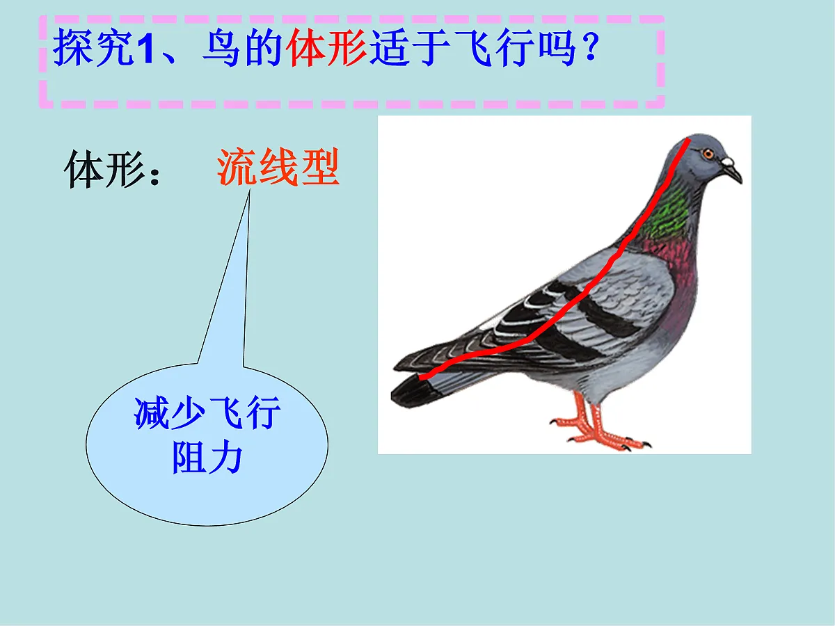 18058917第7页