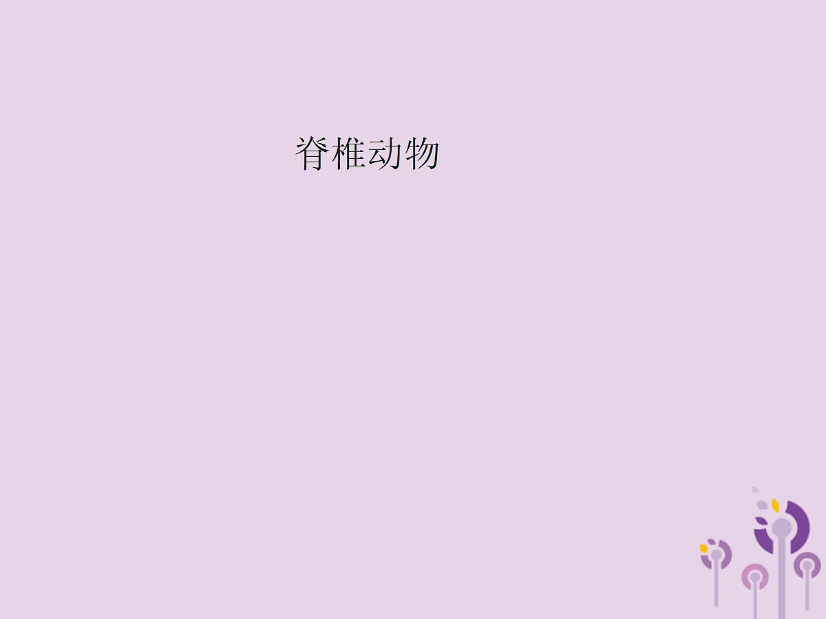 18058918第1页