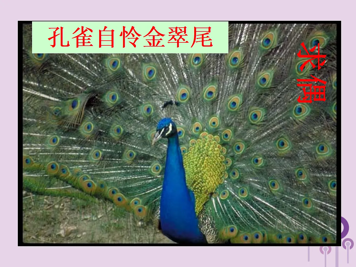 18058918第4页