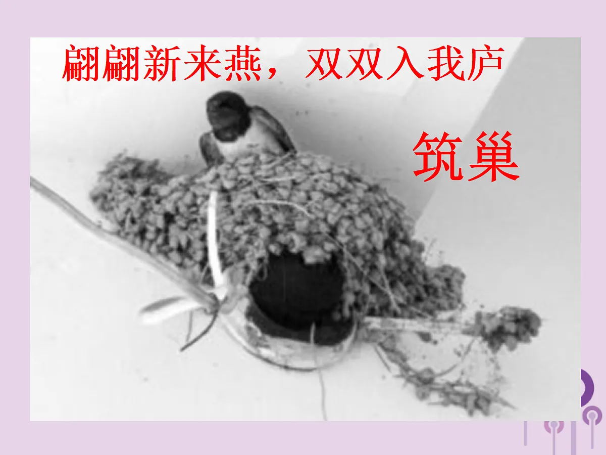 18058918第5页
