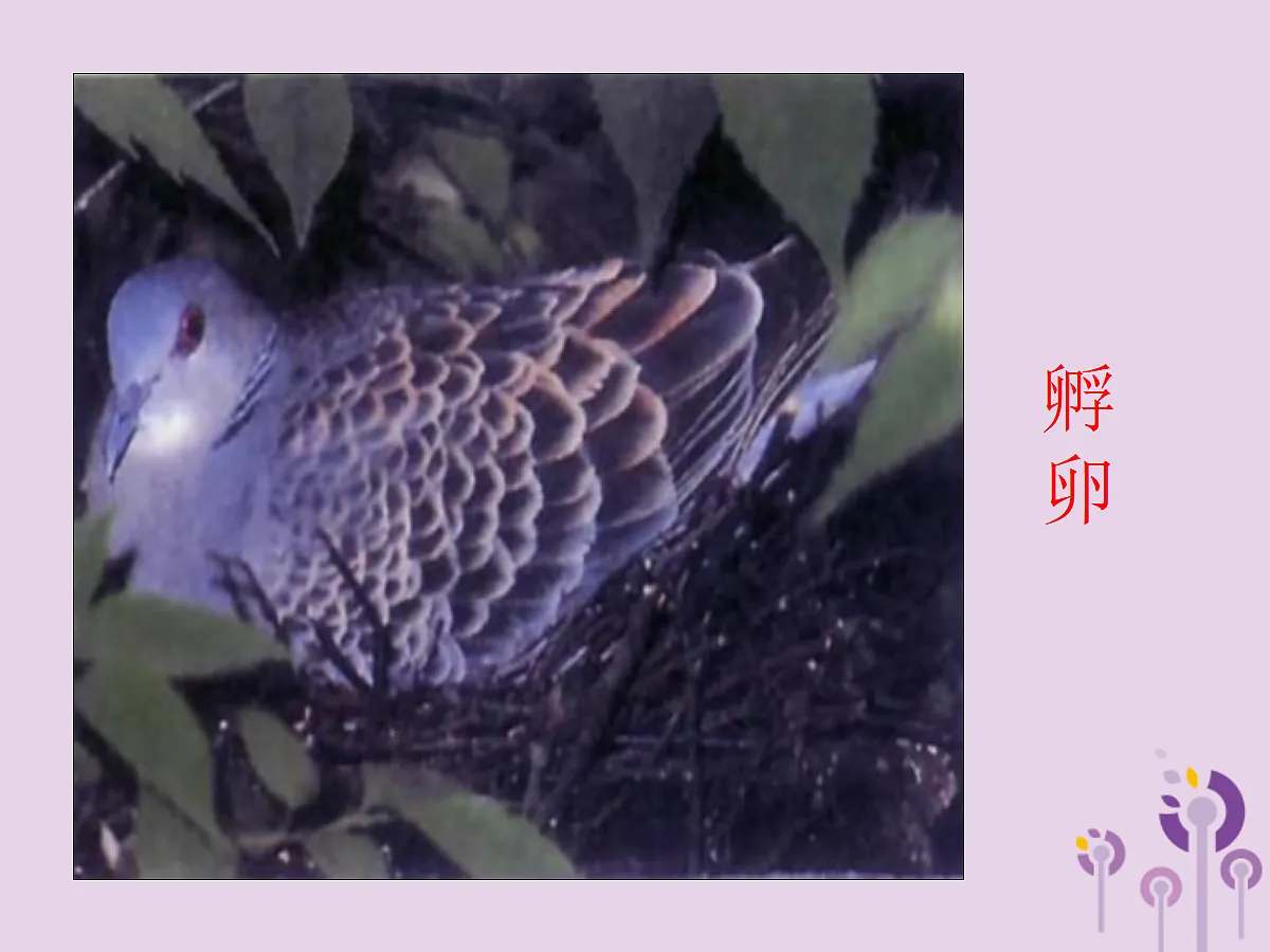 18058918第8页