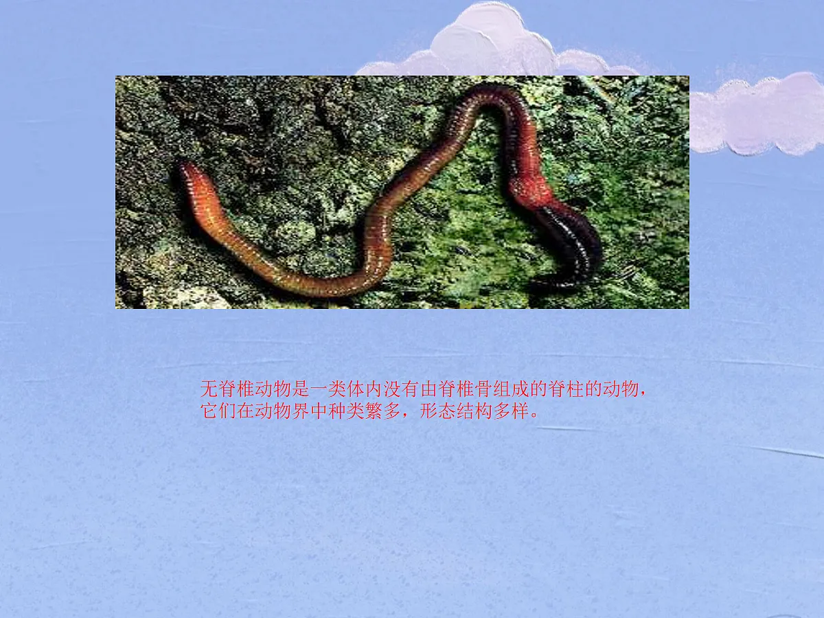 18058924第5页