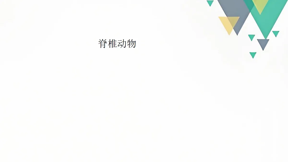 18058926第1页