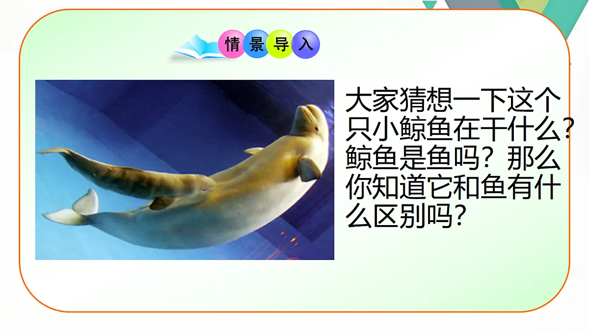 18058926第4页
