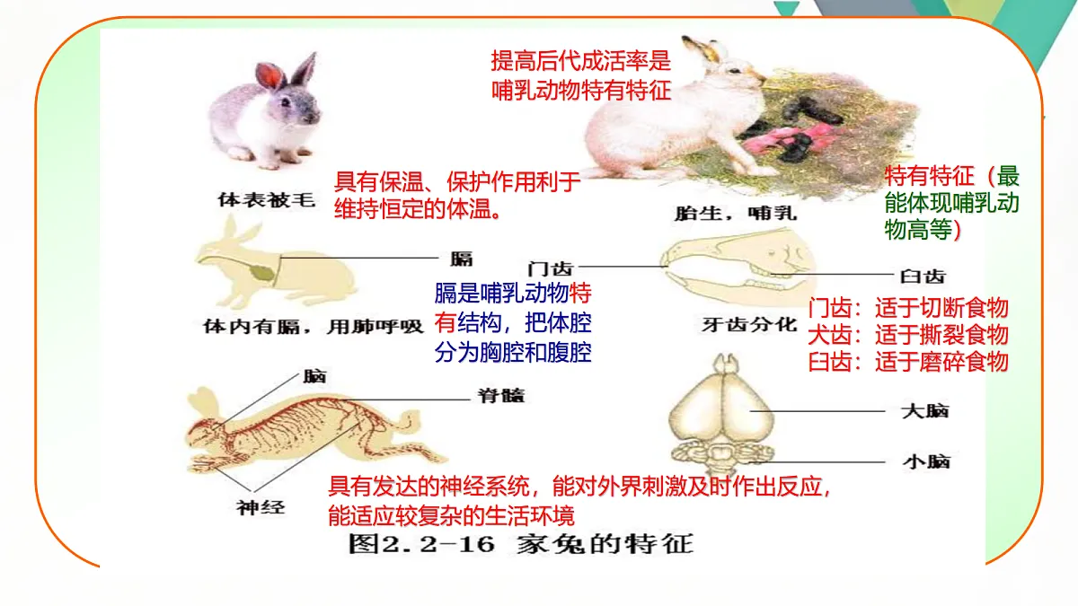 18058926第8页