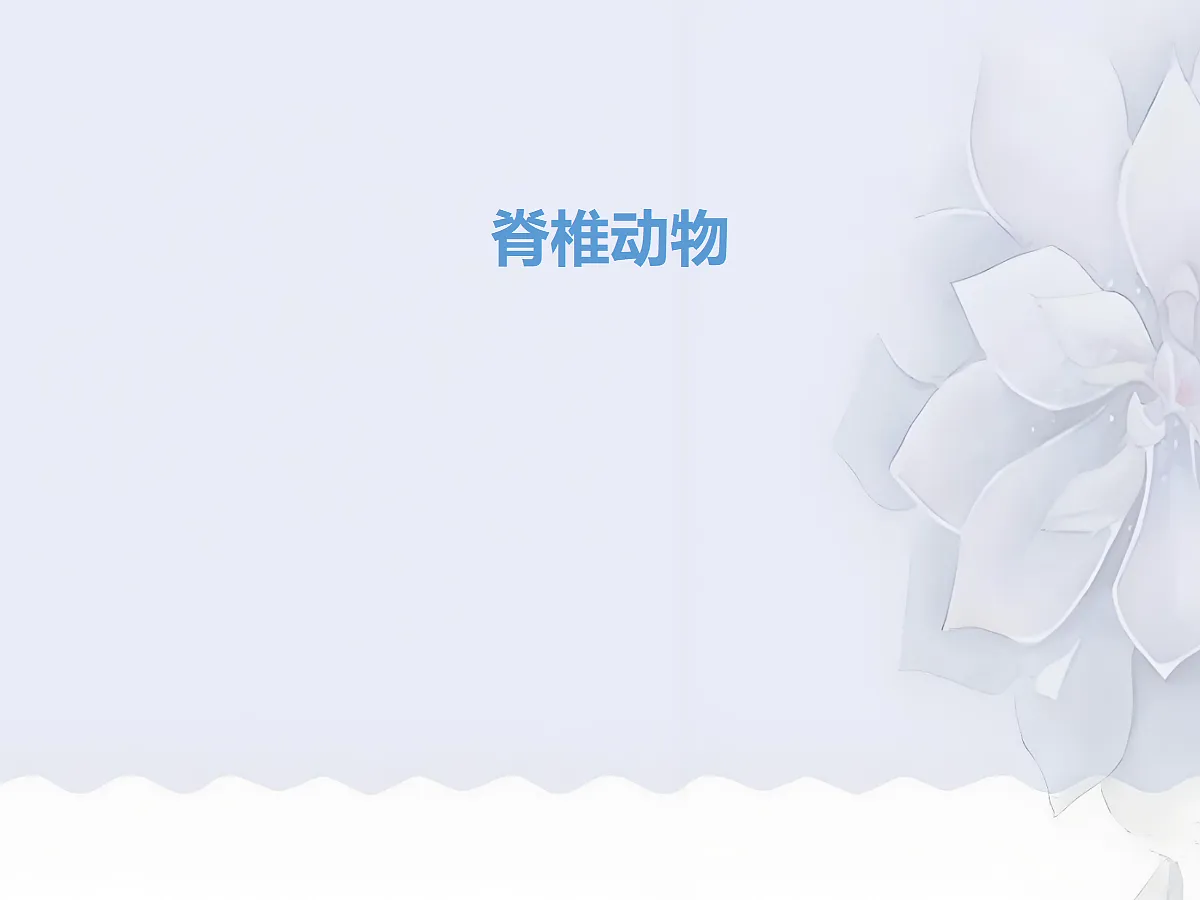 18058927第1页