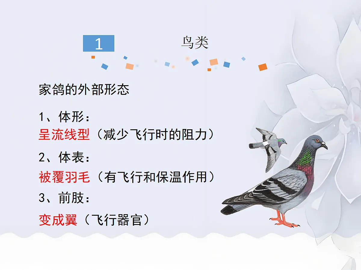 18058927第5页