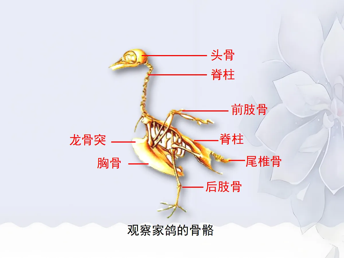 18058927第6页