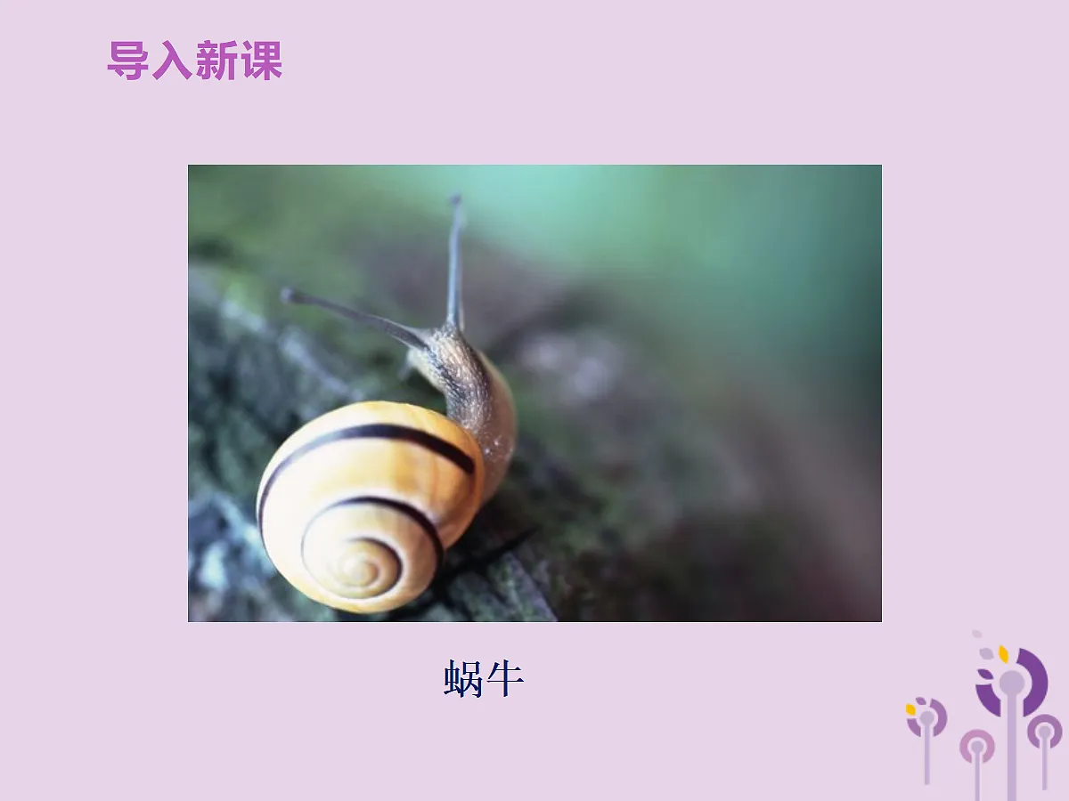 18058928第7页