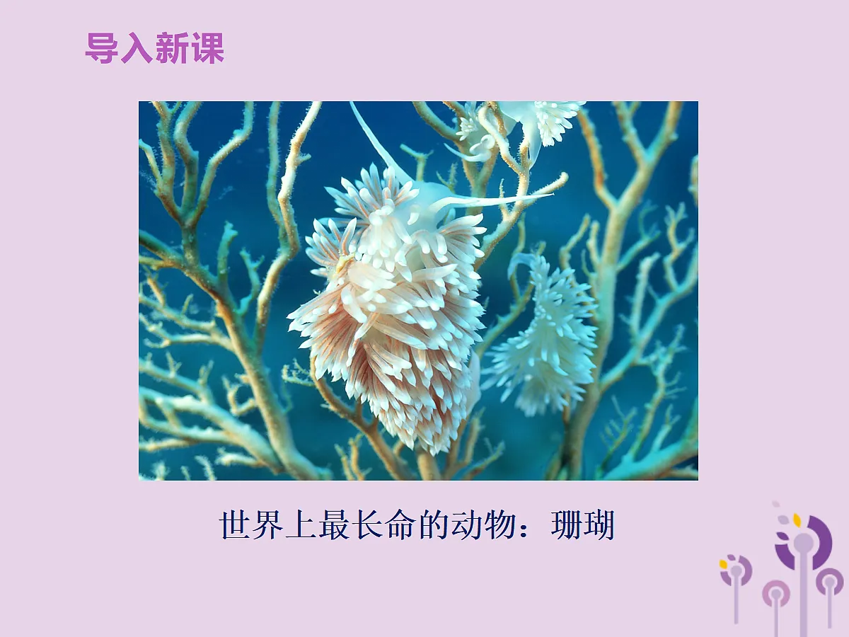 18058928第8页