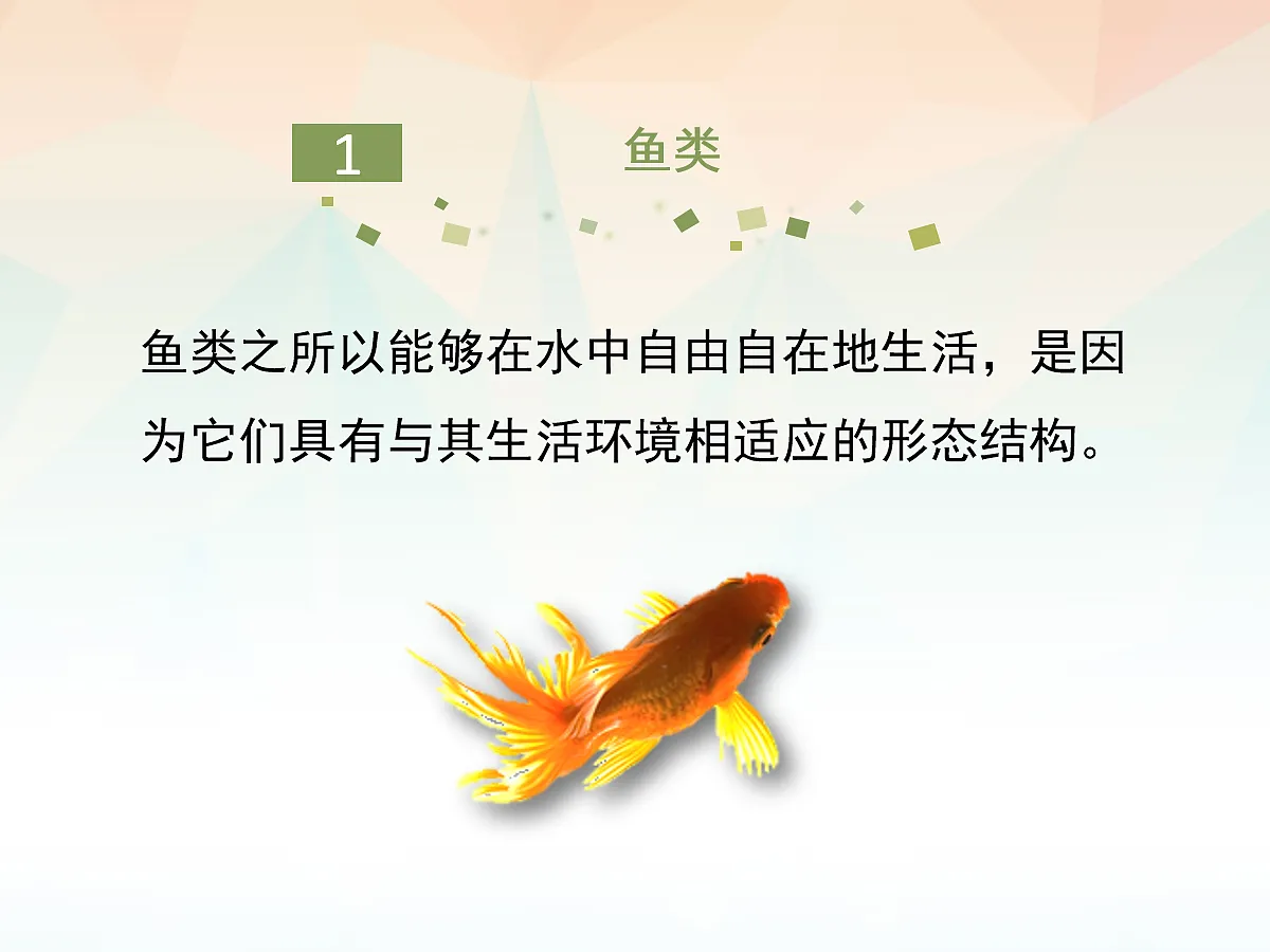 18058930第5页