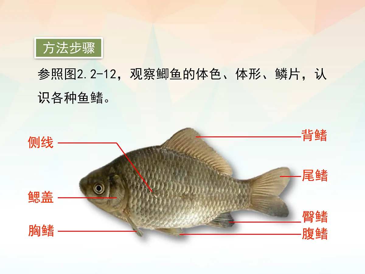 18058930第7页