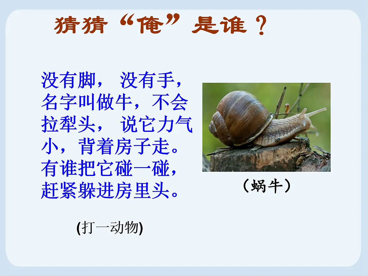 18058935第4页