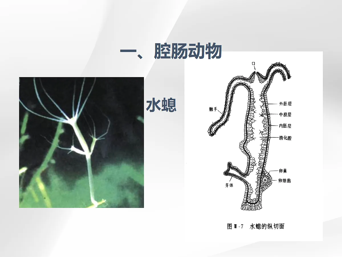 18058940第6页
