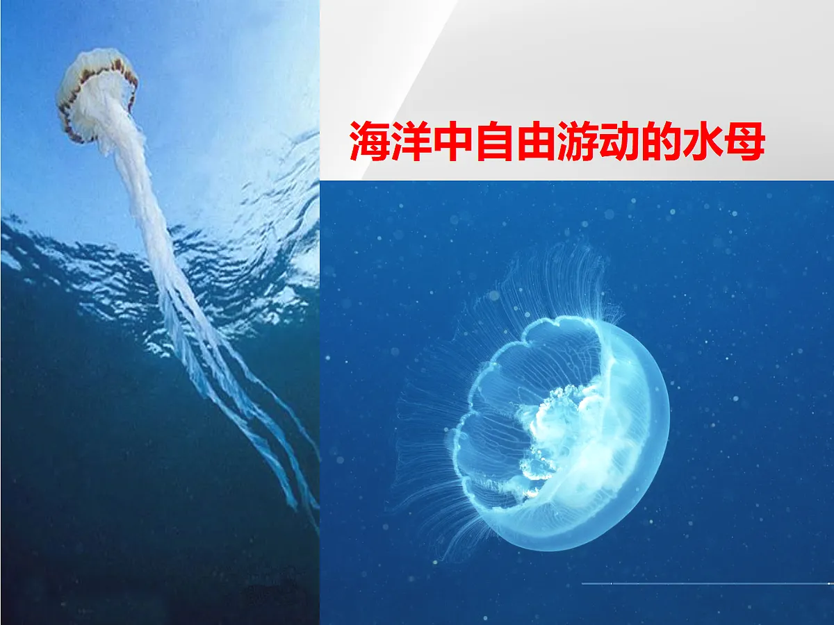 18058940第7页