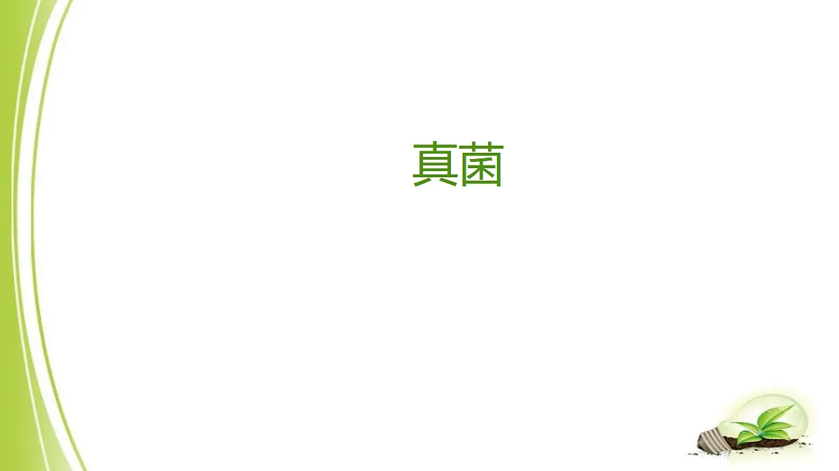 18060132第1页