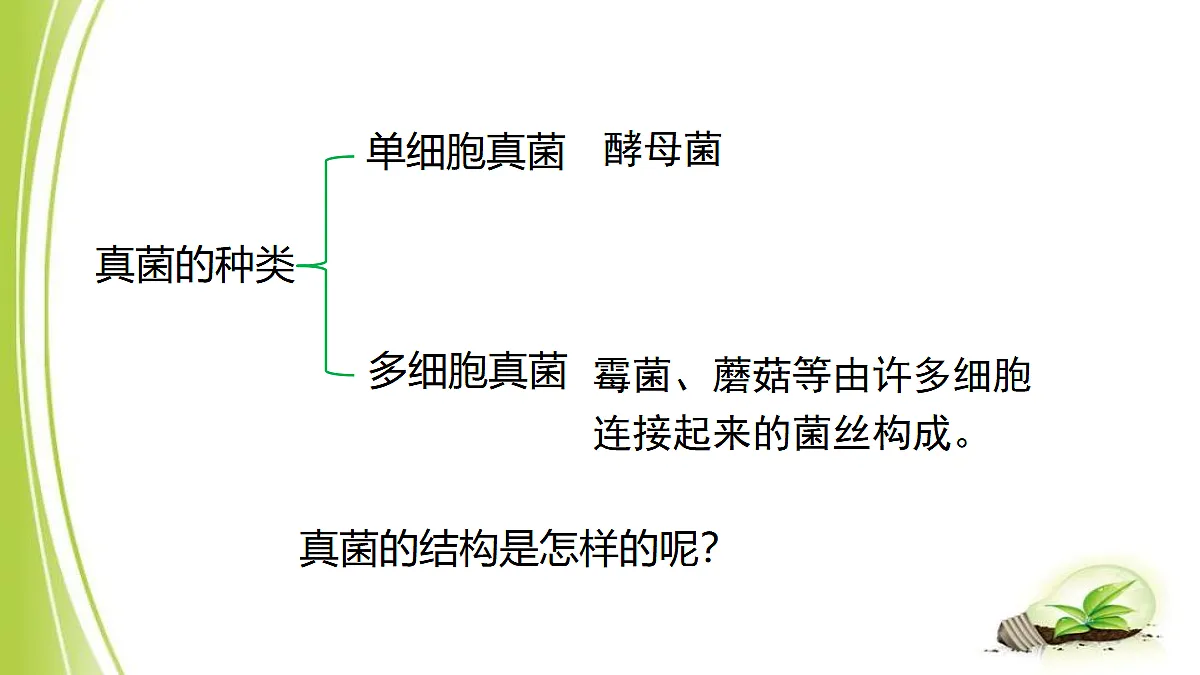 18060132第7页