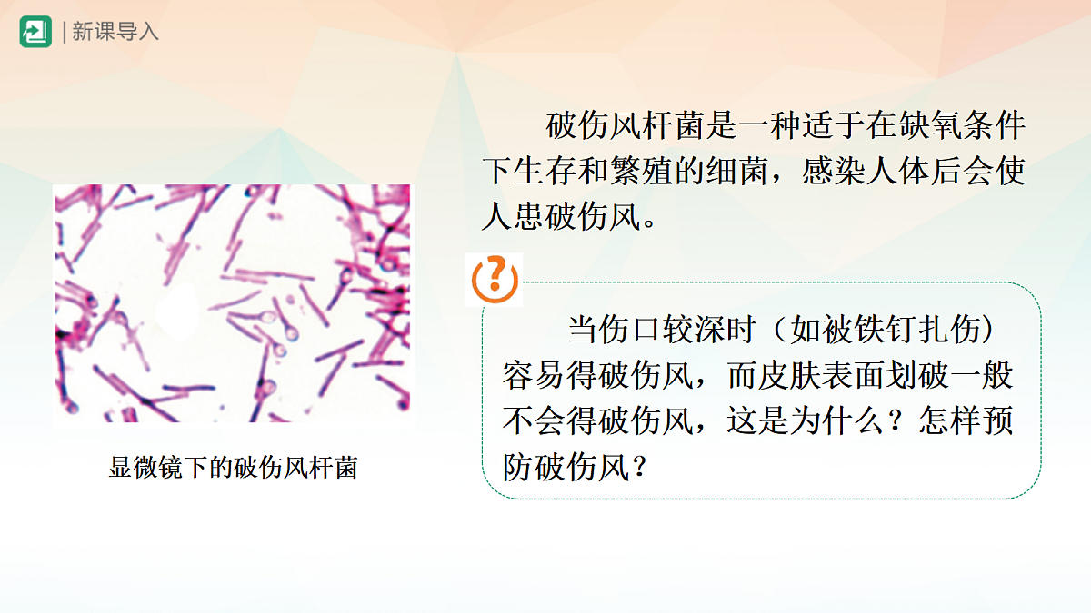 18060141第4页