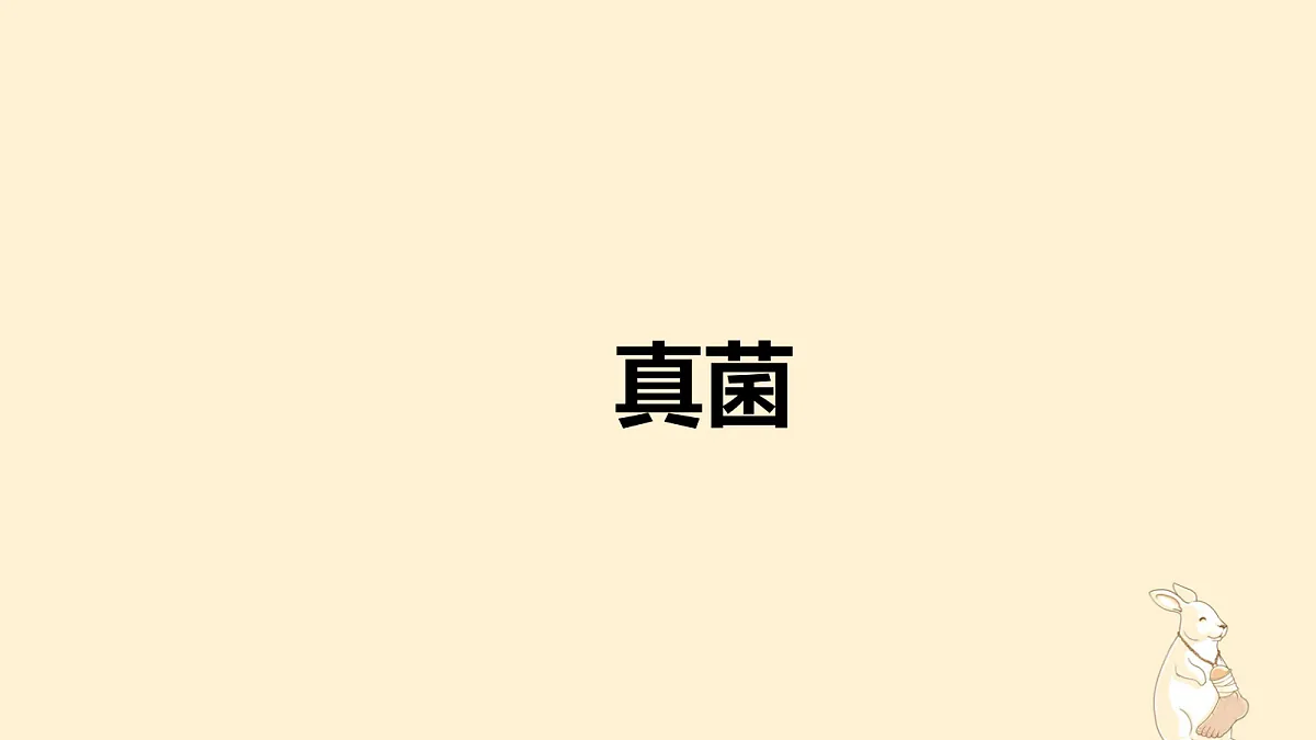 18060144第1页