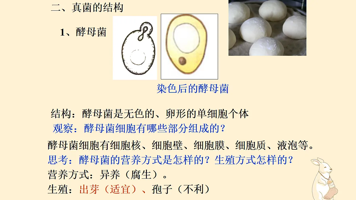 18060144第6页