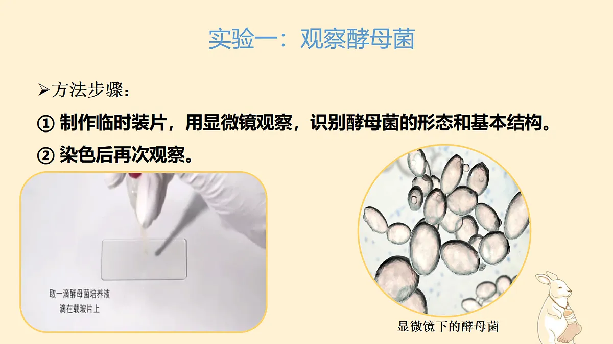 18060144第8页