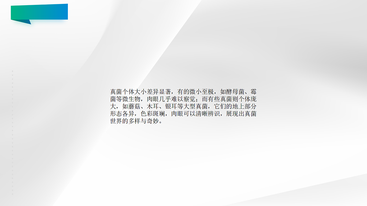 18060146第5页