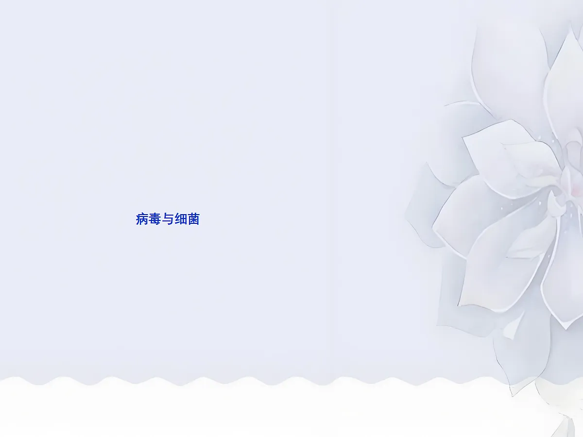 18060149第1页