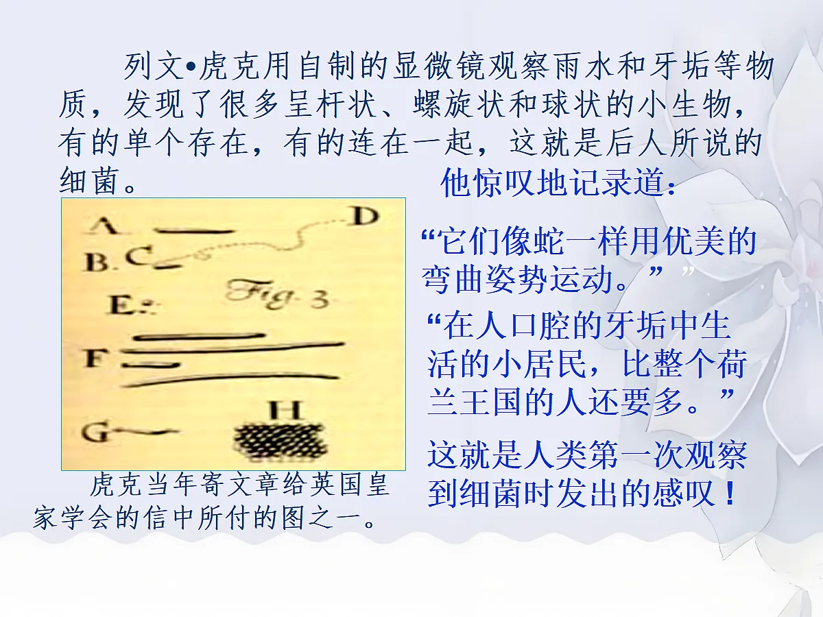 18060149第5页