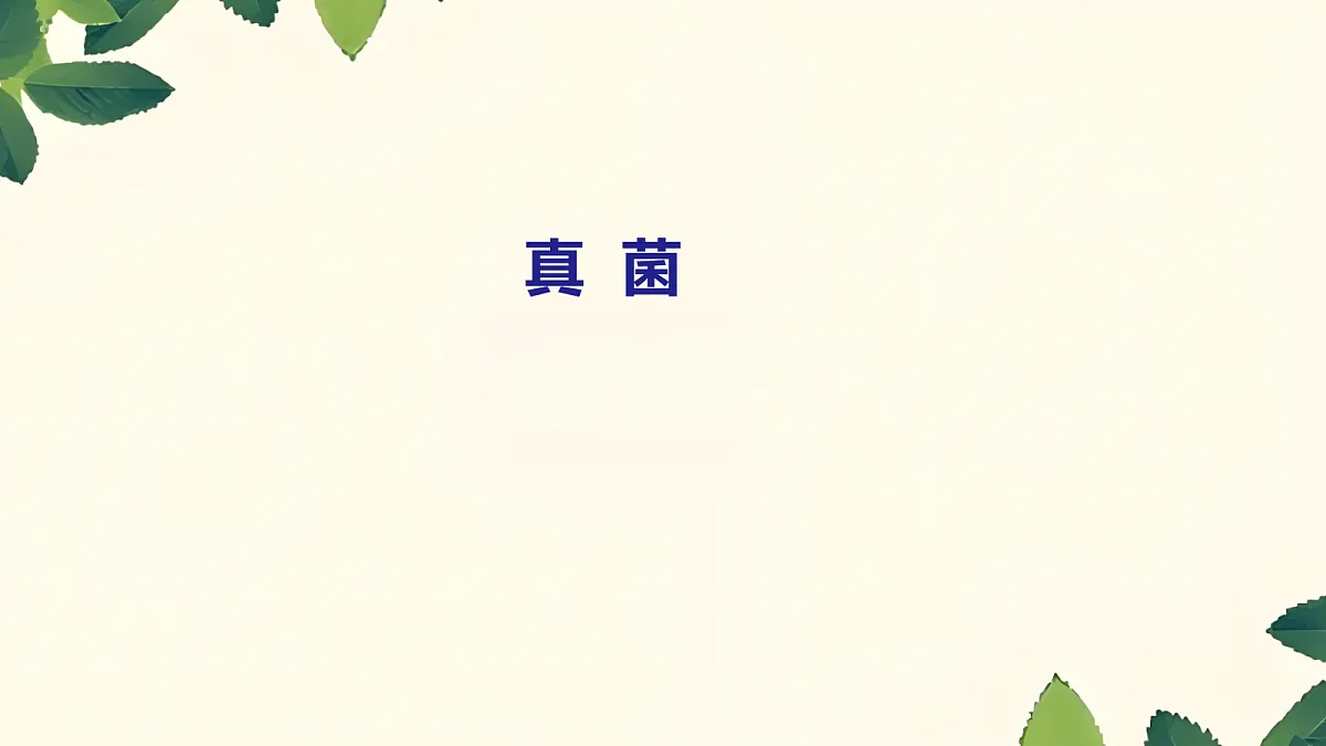 18060157第1页
