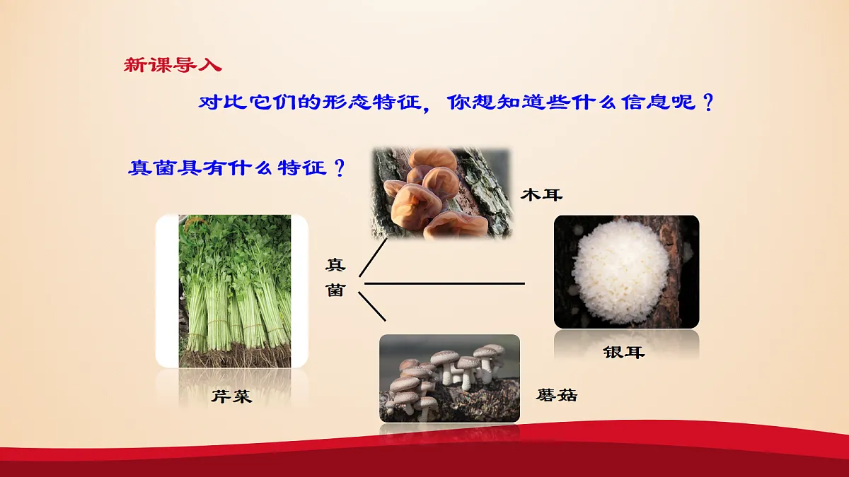 18060157第5页