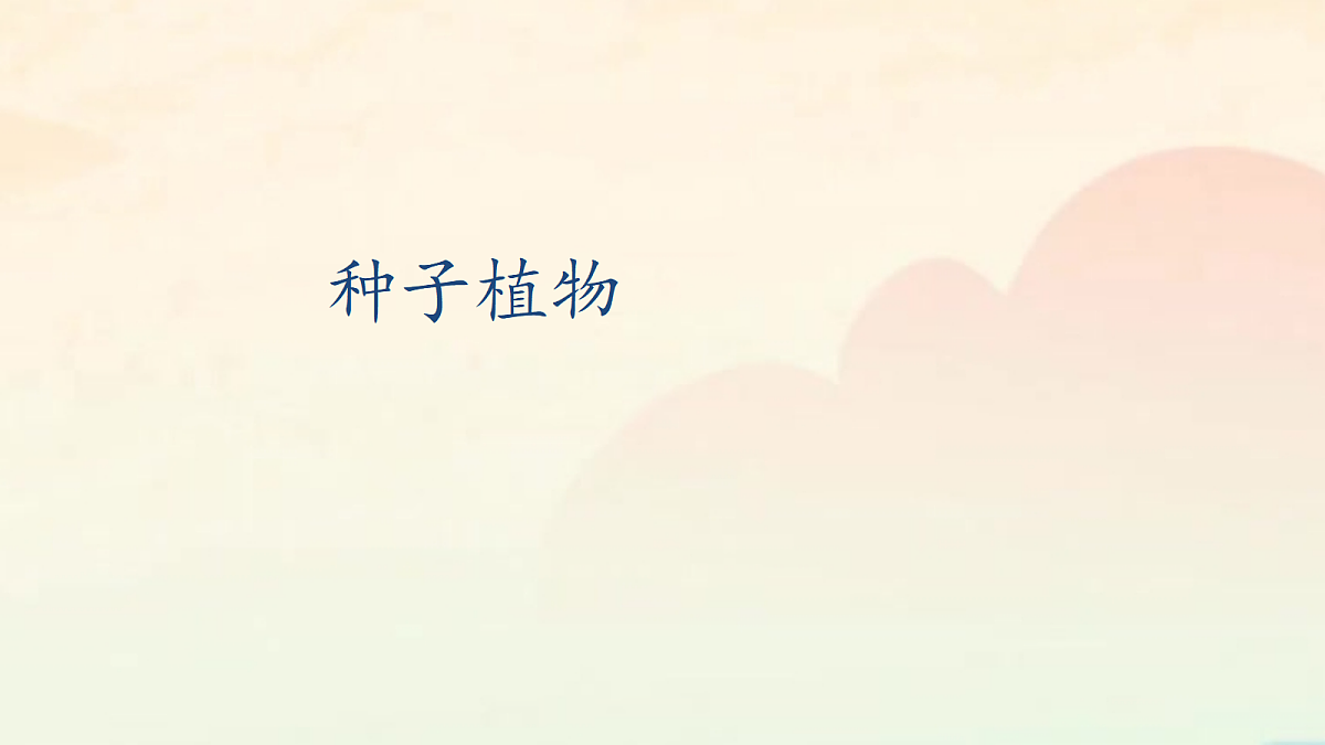 18060171第1页