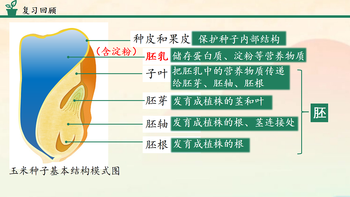 18060171第5页