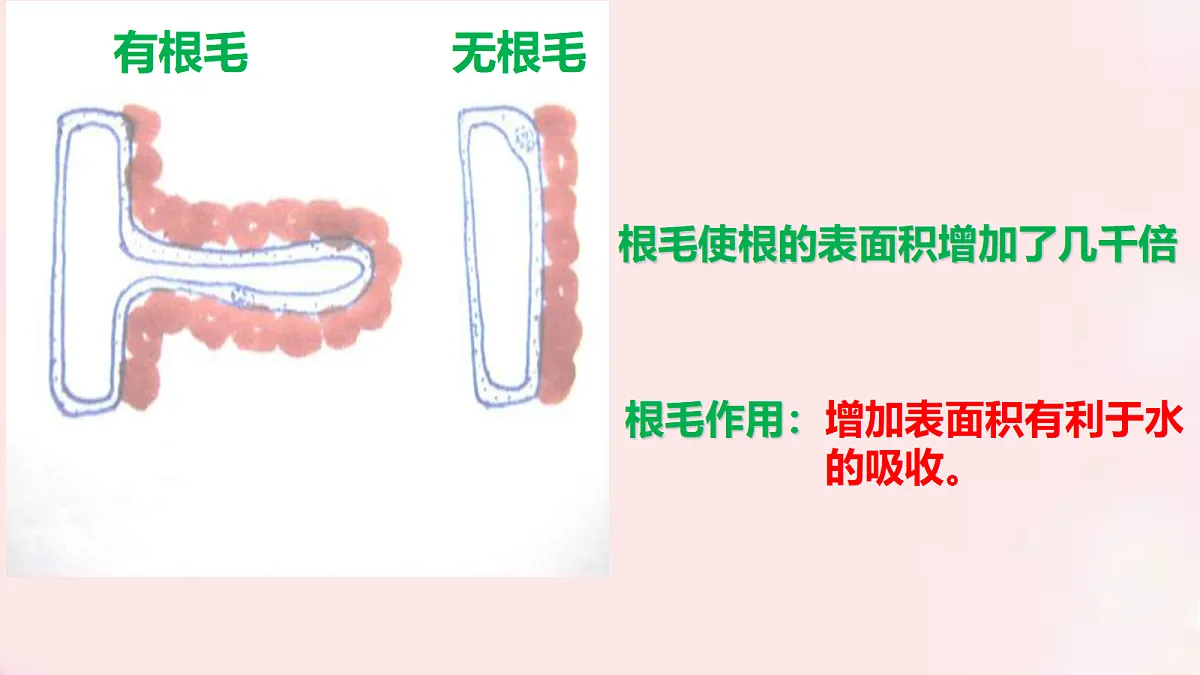18060209第8页