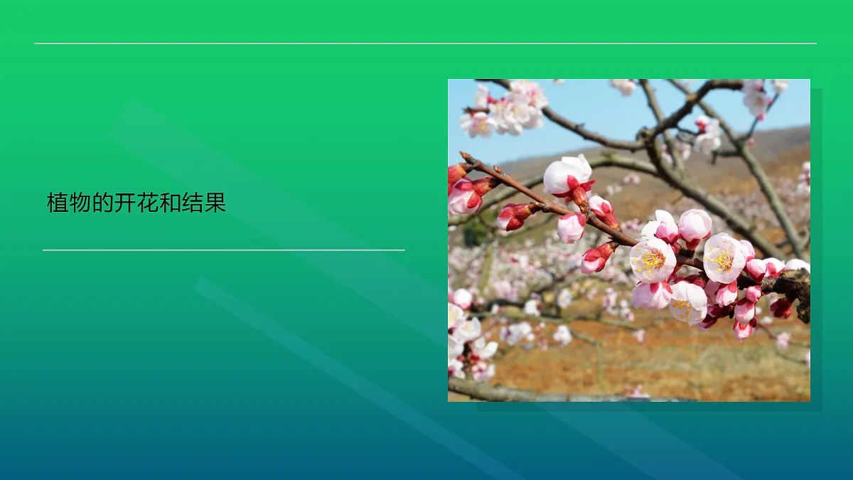 18060212第1页