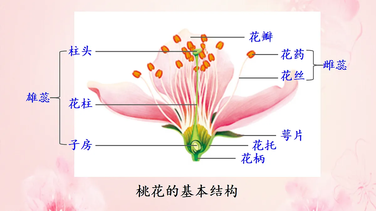 18060212第4页