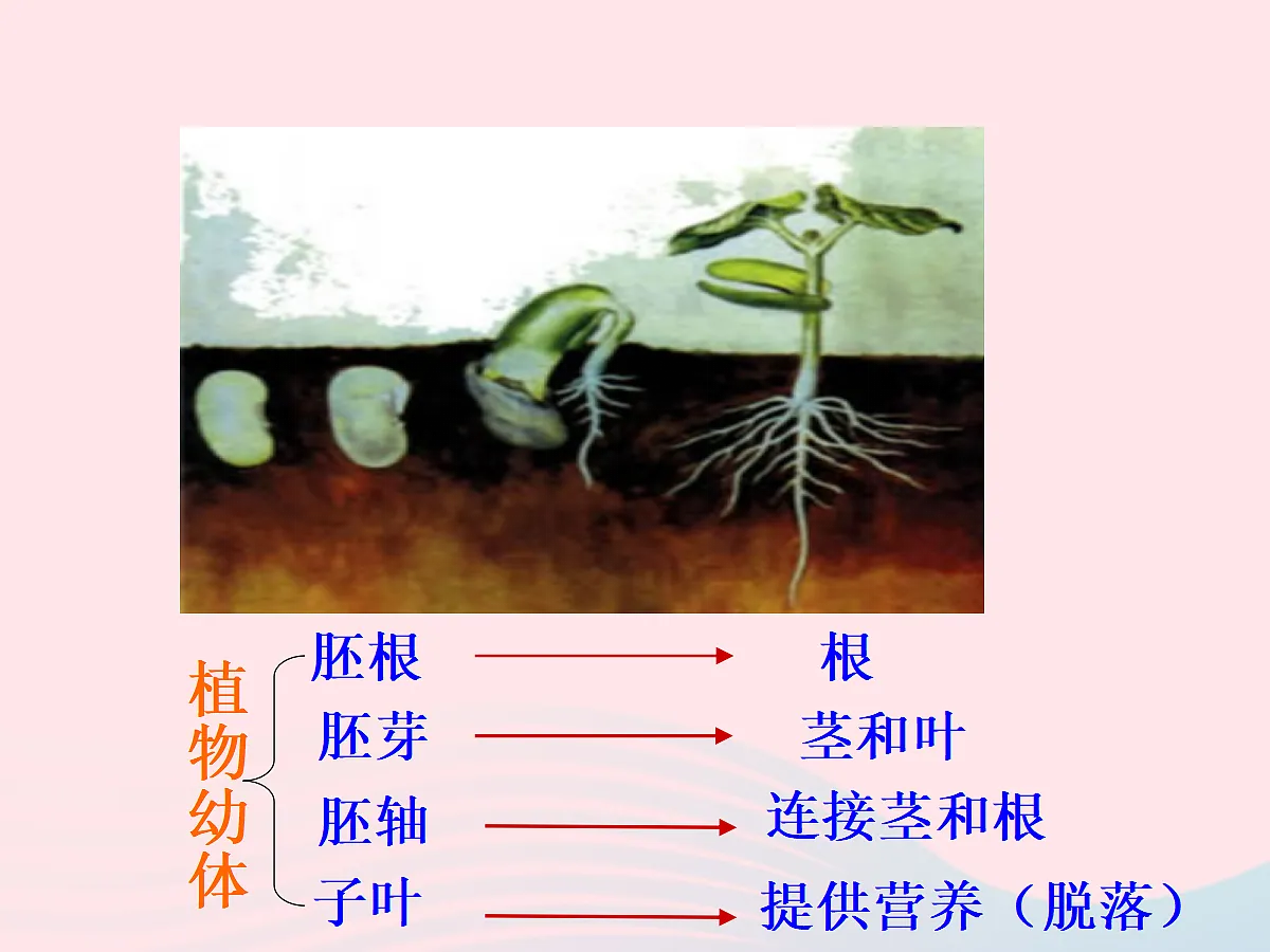 18060217第4页