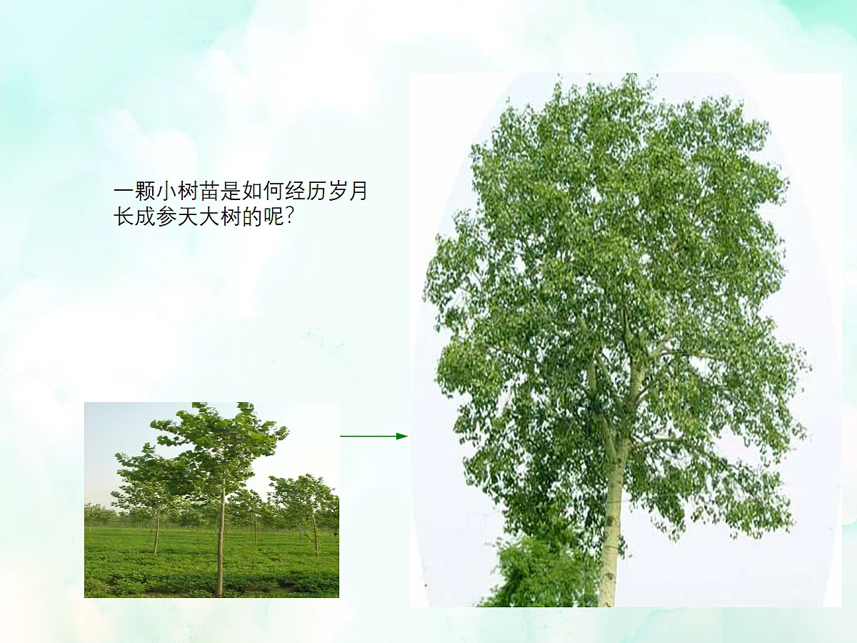 18060222第3页