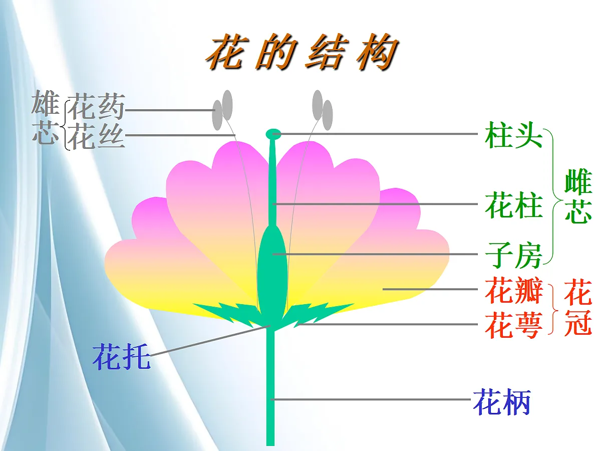 18060224第8页